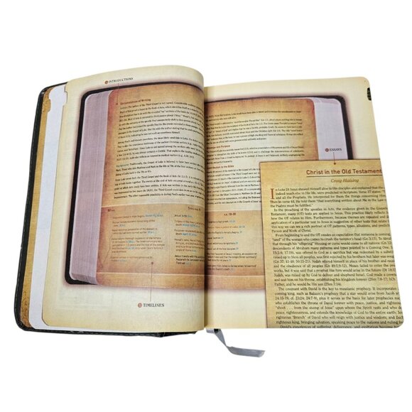 HCSB Holman Christian Standard Study Bible Indexed Gray Simulated Leather 2010 - Picture 13 of 16